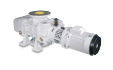 Pedro Gil roots vacuum pump RVB